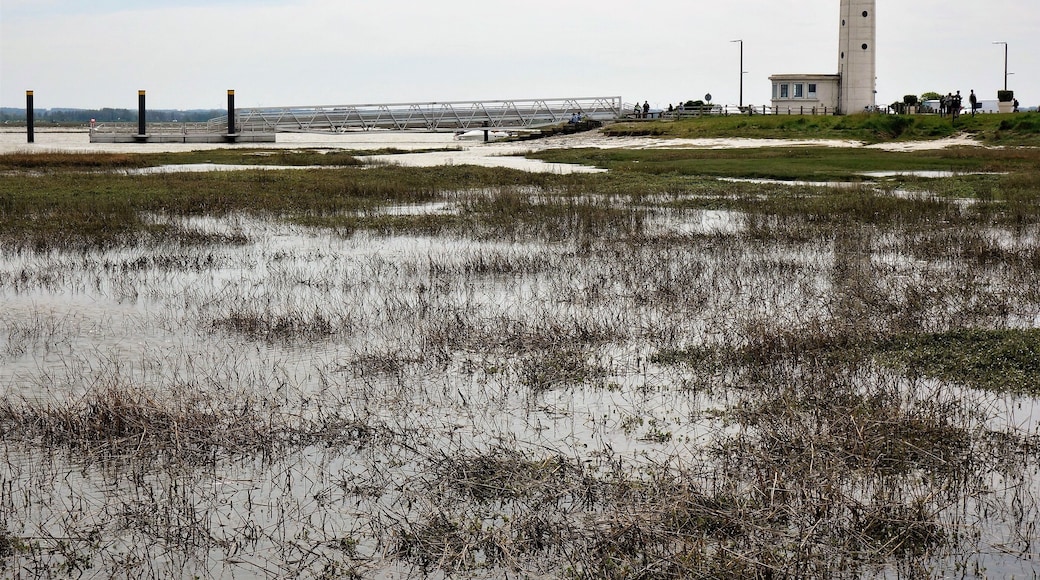 Due to the great influence of ebb and flow in the Somme Bay (5 m difference in water level, sometimes up to 10 metres / 32 feet at spring tide) a unique nature area has been created here where wind and water leave their mark on the landscape. Photo: flooded grassland and the lighthouse of Le Hourdel. Not in the picture: me with wet feet.