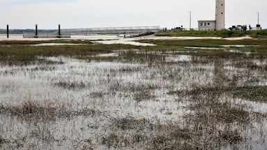 Due to the great influence of ebb and flow in the Somme Bay (5 m difference in water level, sometimes up to 10 metres / 32 feet at spring tide) a unique nature area has been created here where wind and water leave their mark on the landscape. Photo: flooded grassland and the lighthouse of Le Hourdel. Not in the picture: me with wet feet.