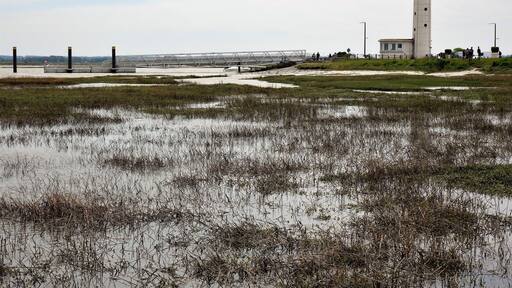 Due to the great influence of ebb and flow in the Somme Bay (5 m difference in water level, sometimes up to 10 metres / 32 feet at spring tide) a unique nature area has been created here where wind and water leave their mark on the landscape. Photo: flooded grassland and the lighthouse of Le Hourdel. Not in the picture: me with wet feet.