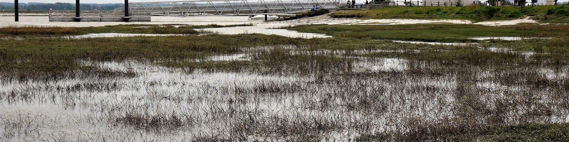 Due to the great influence of ebb and flow in the Somme Bay (5 m difference in water level, sometimes up to 10 metres / 32 feet at spring tide) a unique nature area has been created here where wind and water leave their mark on the landscape. Photo: flooded grassland and the lighthouse of Le Hourdel. Not in the picture: me with wet feet.