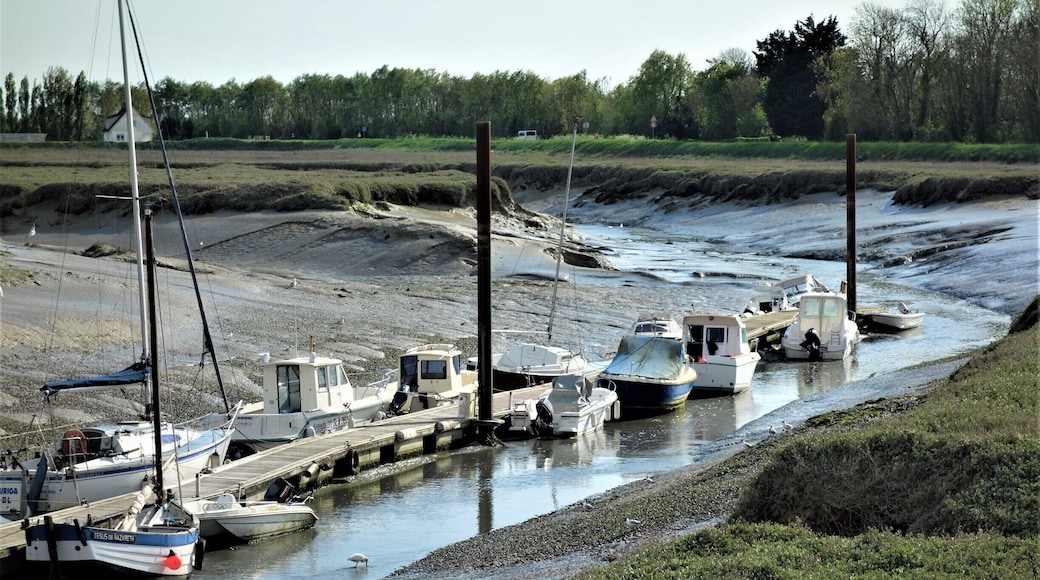 Low tide at Le Hourdel. #BeachTips!