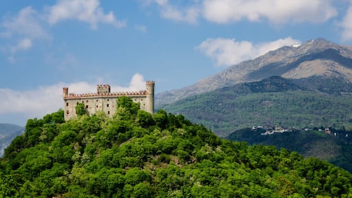 مونتالدو تورنس