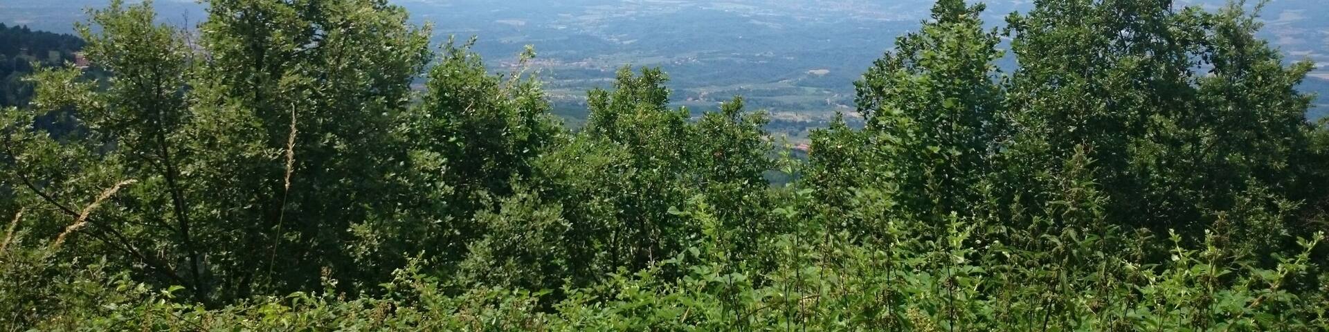 A forest to cool down in summer. Good place for bbq and some drinks. As well as for a hike in the mountains.
