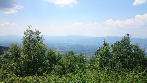 A forest to cool down in summer. Good place for bbq and some drinks. As well as for a hike in the mountains.