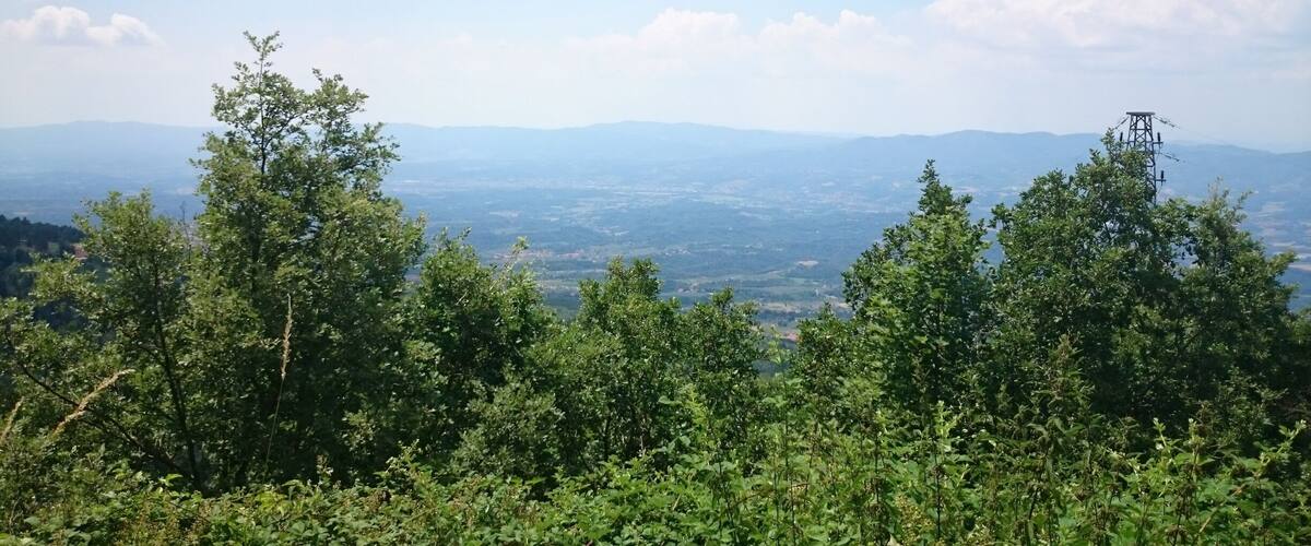 A mountainous landscape with dense green foliage in the foreground and a view of distant hills under a clear sky.