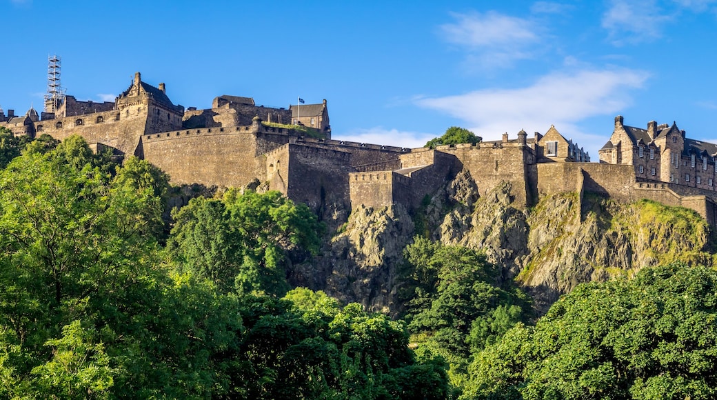A historic castle on a hill with dense green foliage.