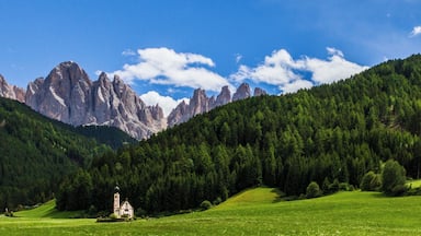 This is a picture of the protected area listed at WDPA under the ID