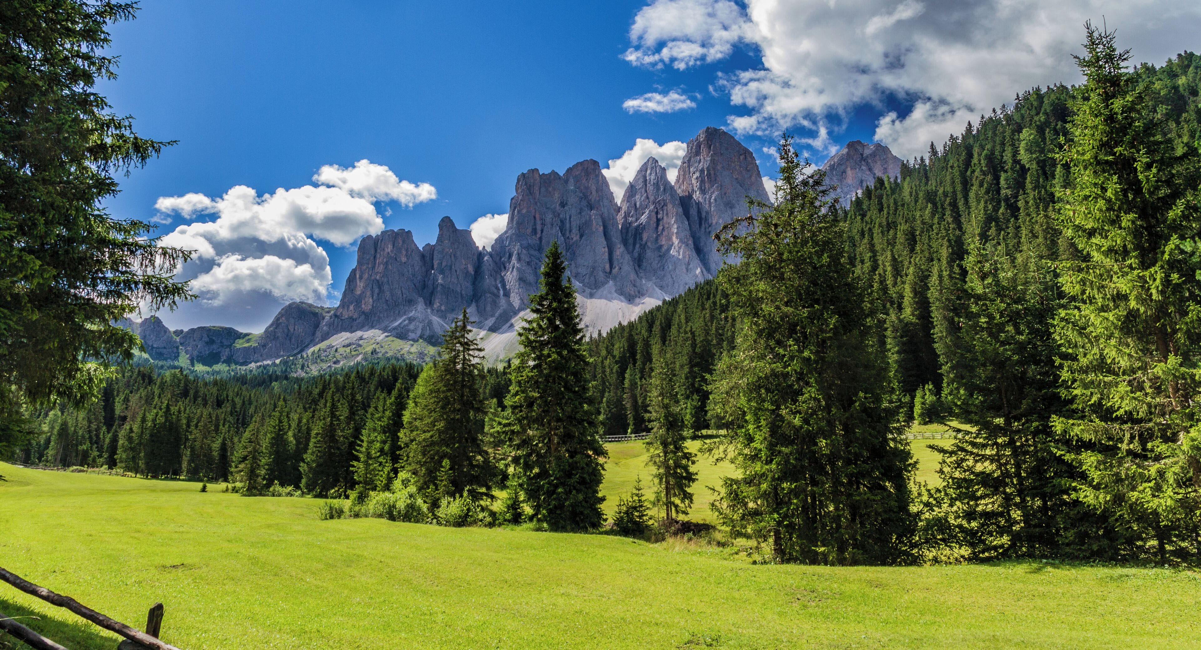 A mountainous landscape with a green meadow, tall pine trees, and rocky peaks under a partly cloudy sky.