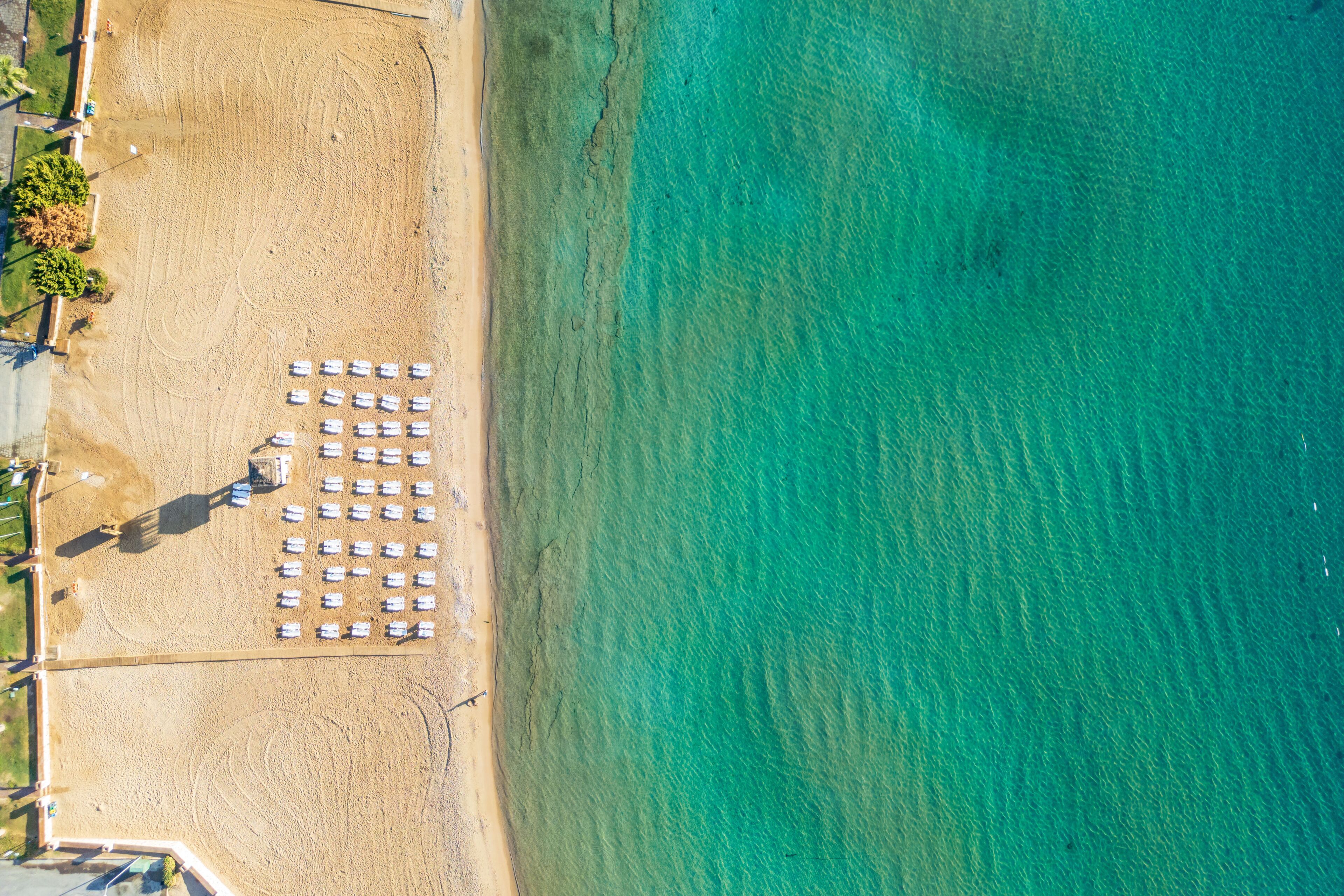 An aerial view of a beach with rows of white umbrellas and a sandy area with a few trees.