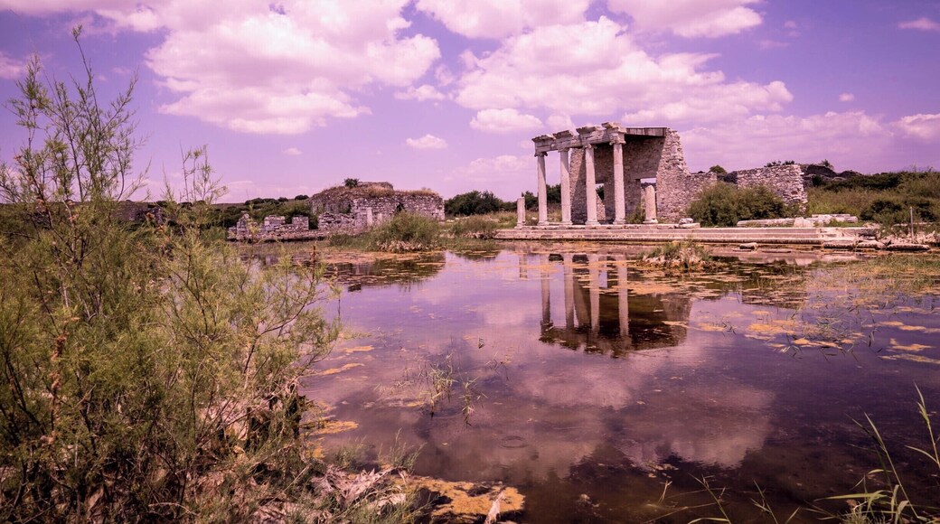 The ruins at Milet/Miletus are a short drive from Didim. This was a commercial and government center from about 700 BC until 700 AD.
After visiting Ephesus and being in the middle of crowds and tour groups it was incredible to have this entire site to ourselves,
It is worth the drive!