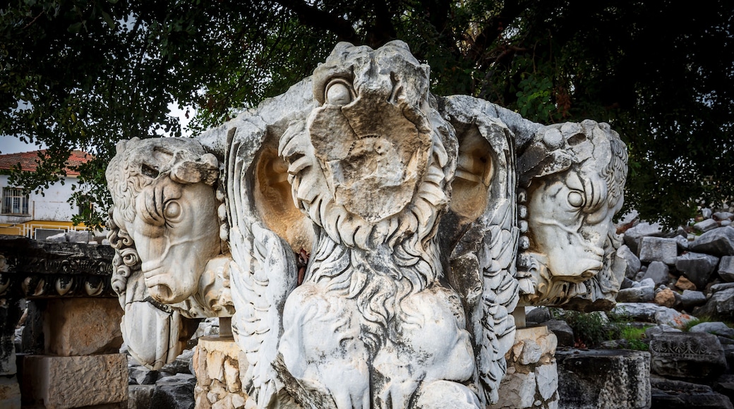 The Temple of Apollo in Didyma Ancient City of Turkey