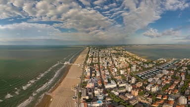 An aerial view of a coastal city with a beach, marina, and dense urban area.