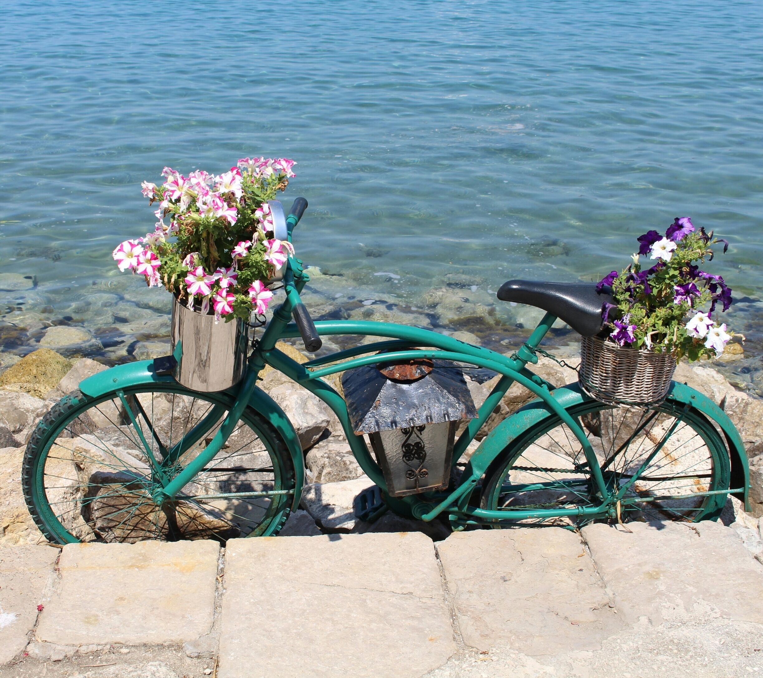 Lopud island, 
Croatia 
#TakeAHike #LopudIsland #Croatia #Dalmatian 