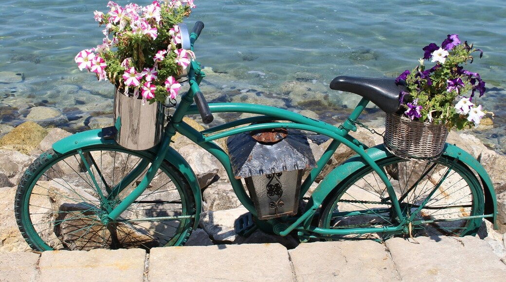 Lopud island,
Croatia
#TakeAHike #LopudIsland #Croatia #Dalmatian