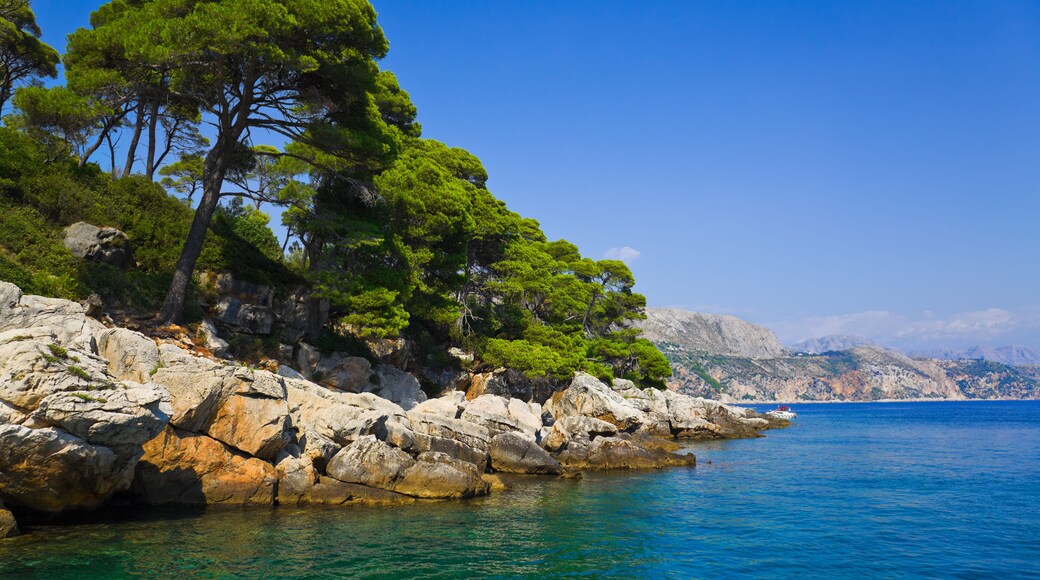 Island Lopud in Croatia - nature vacations background