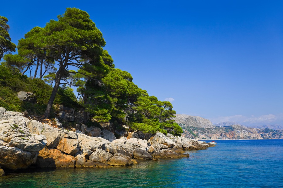 Island Lopud in Croatia - nature vacations background