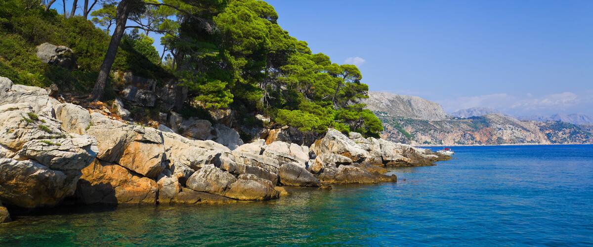 A rocky coastline with dense green pine trees and clear blue sea under a bright sky.
