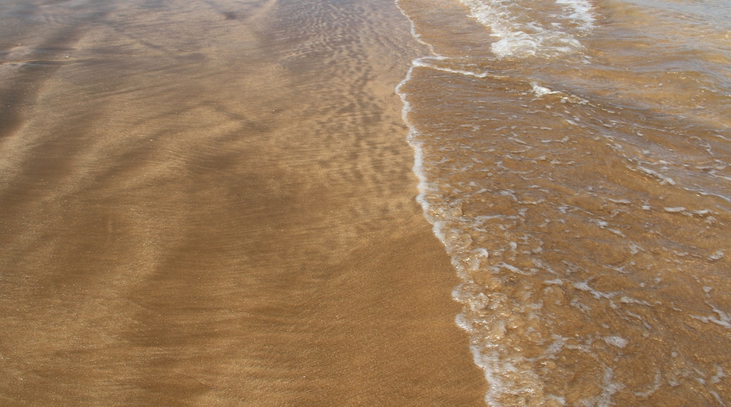 Ein sandiger Strand mit sanft anschwellenden Wellen.
