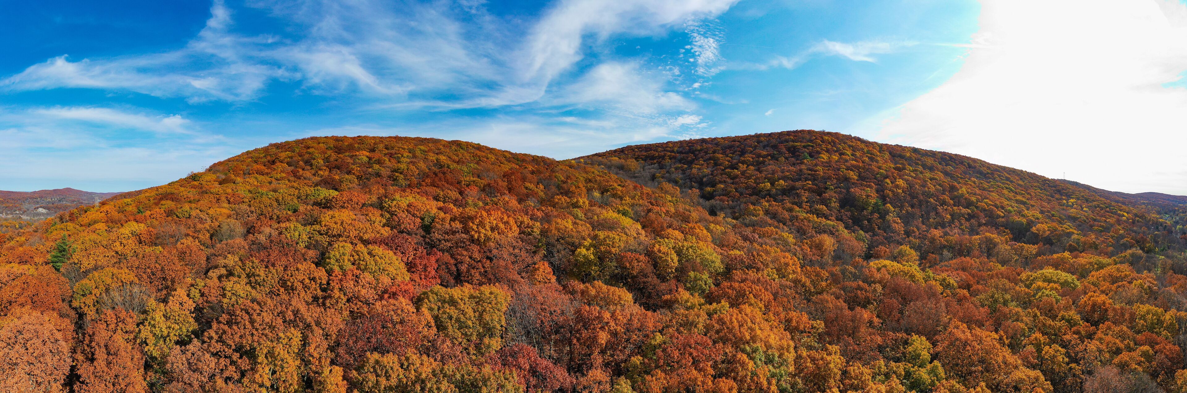 Peak Foliage - New Jersey