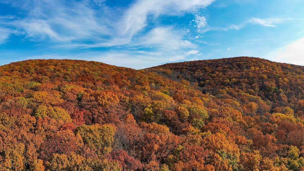 Peak Foliage - New Jersey