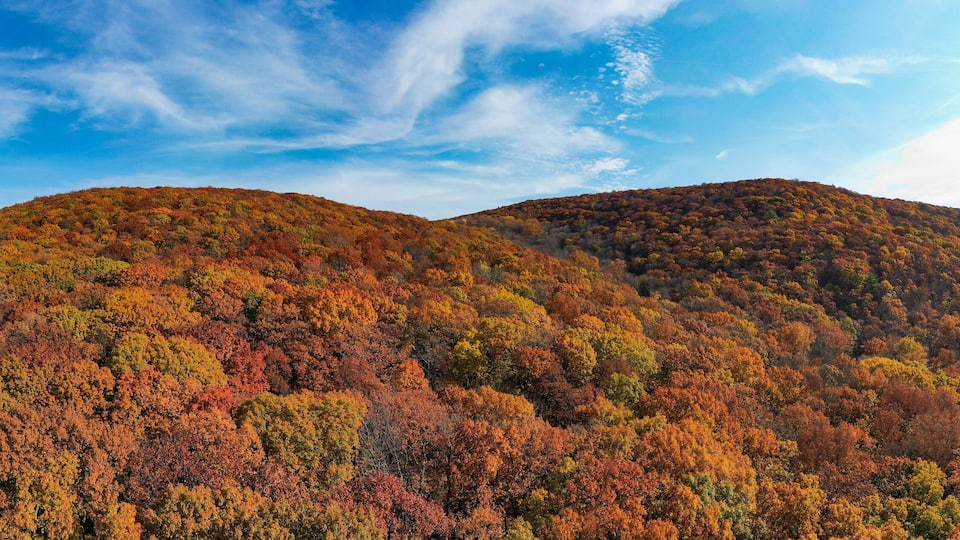A forested mountain range with autumn foliage.
