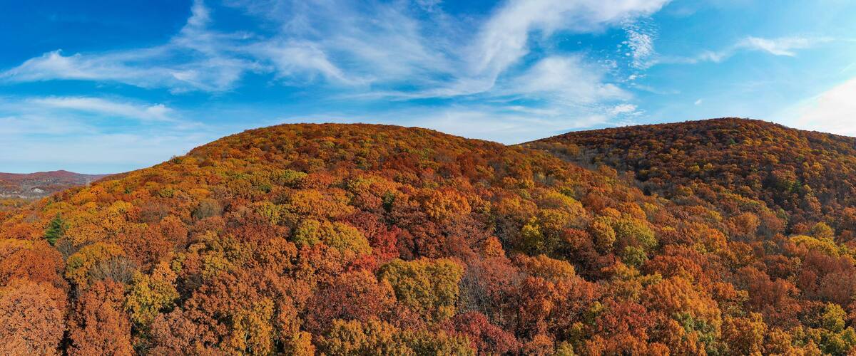 Peak Foliage - New Jersey