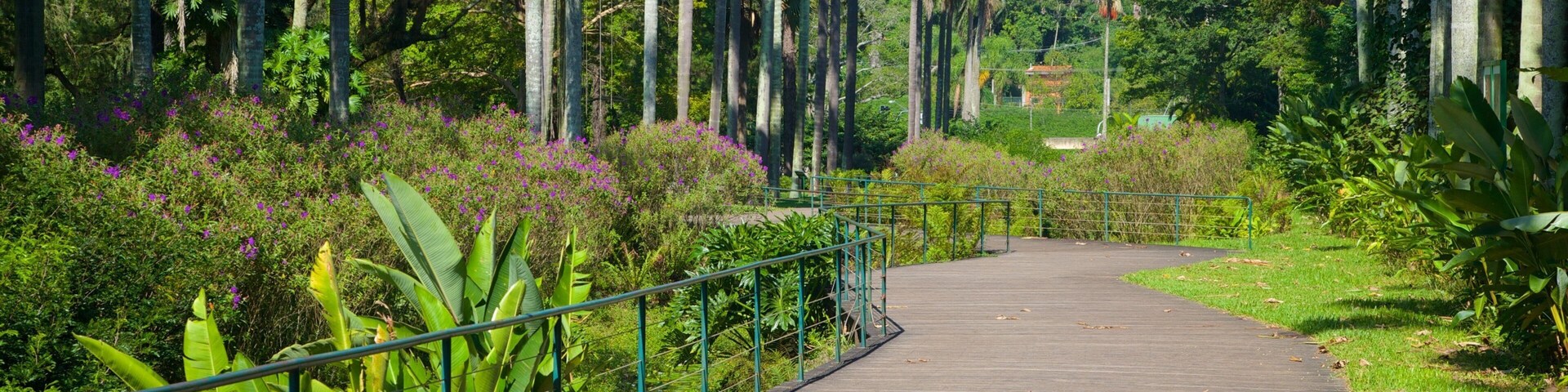 Jardim Botânico de São Paulo caracterizando um jardim
