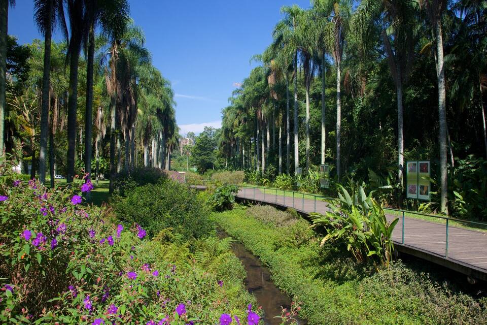 A lush garden with a wooden bridge over a stream, surrounded by tall palm trees and vibrant purple flowers.