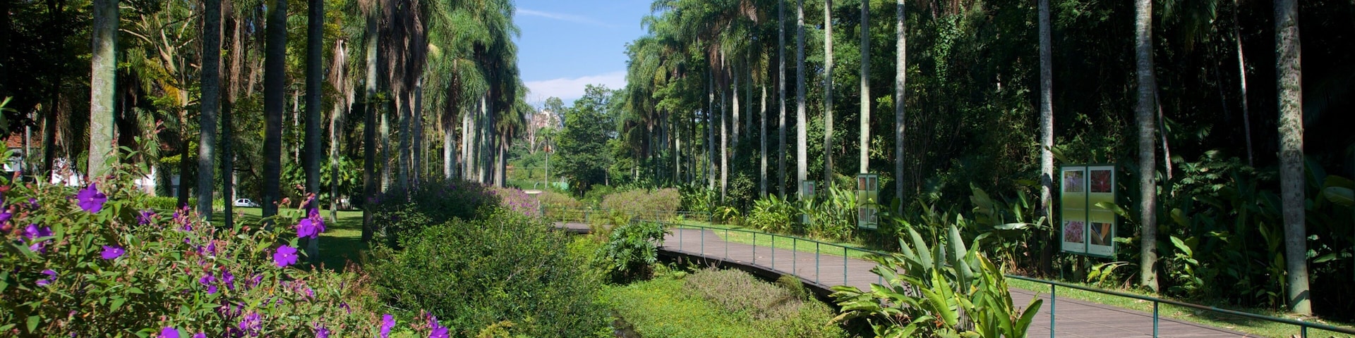 Jardín botánico de Sao Paulo que incluye un parque