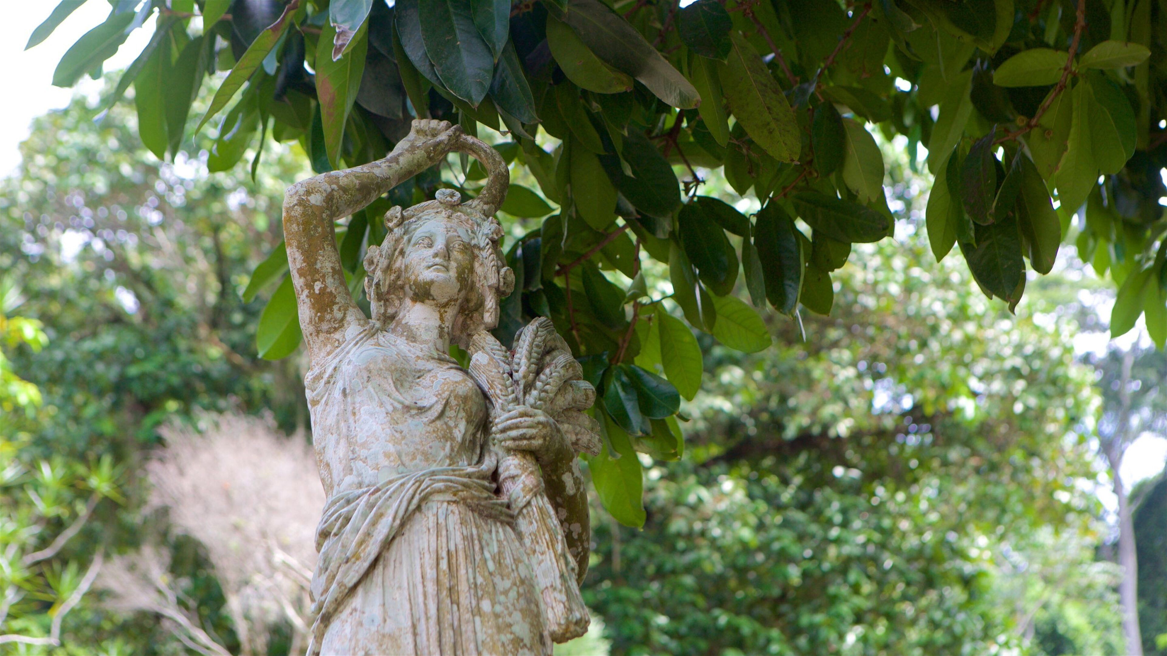 Sao Paulo Botanical Garden showing a statue or sculpture