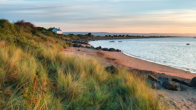 The beach at Crow Point at Braunton Burrows near Barnstaple on the Devon coastline; Shutterstock ID 493329103; Purchase Order: SP-1394 HA Batch 3 Part 1; Order Number: ; Client/Licensee: HomeAway; Oth