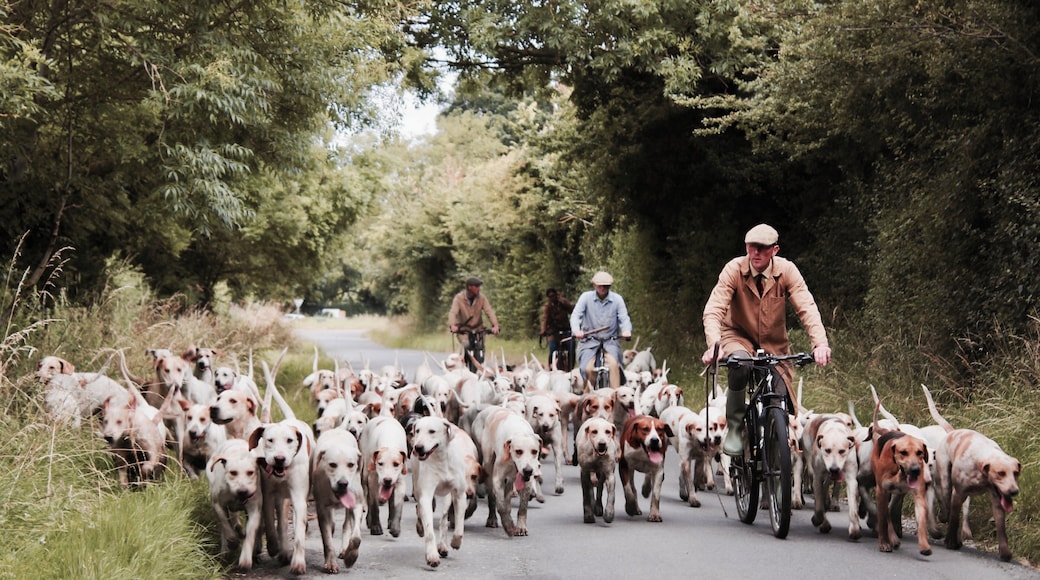 Buckland Manor, Braunton, United Kingdom
