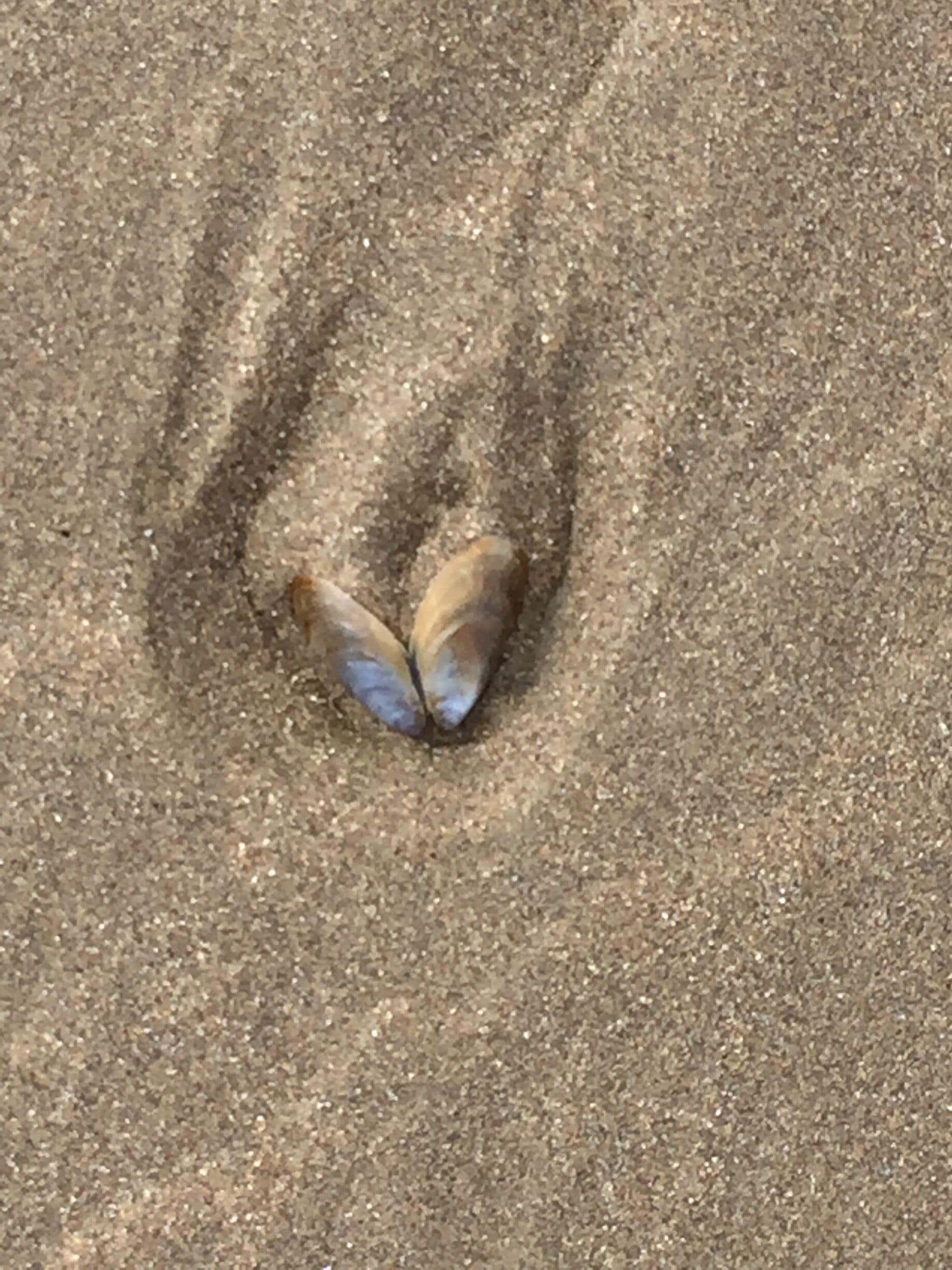 Love heart in the sand