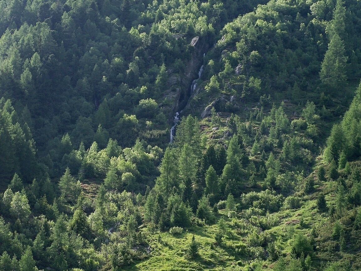 Knuttental, Valle dei Dossi