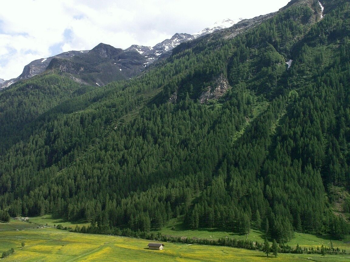 Knuttental, Valle dei Dossi