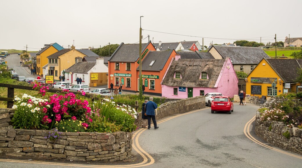 Doolin showing a small town or village, flowers and street scenes