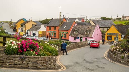 Doolin showing a small town or village, flowers and street scenes