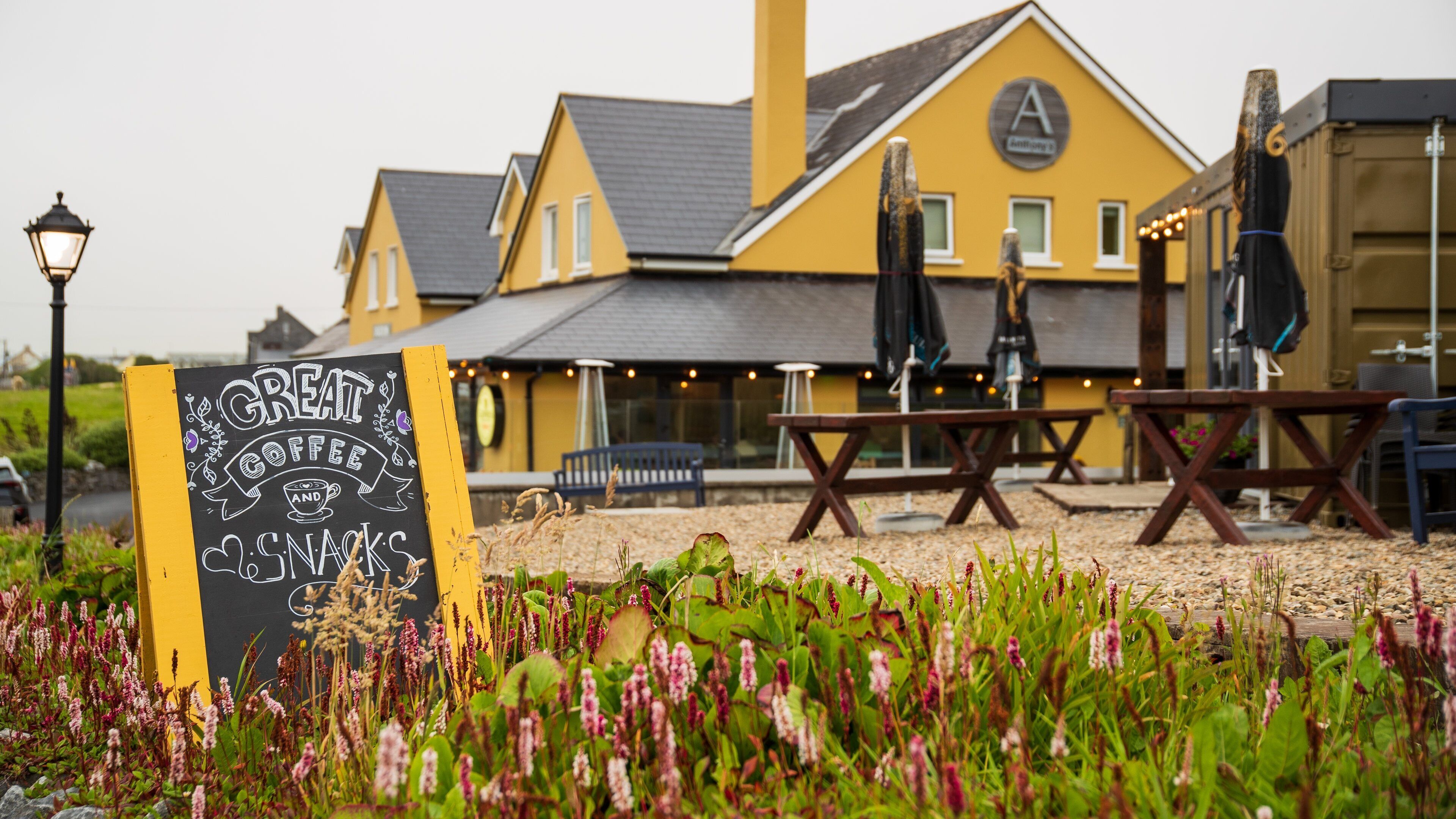 Doolin showing wildflowers and signage