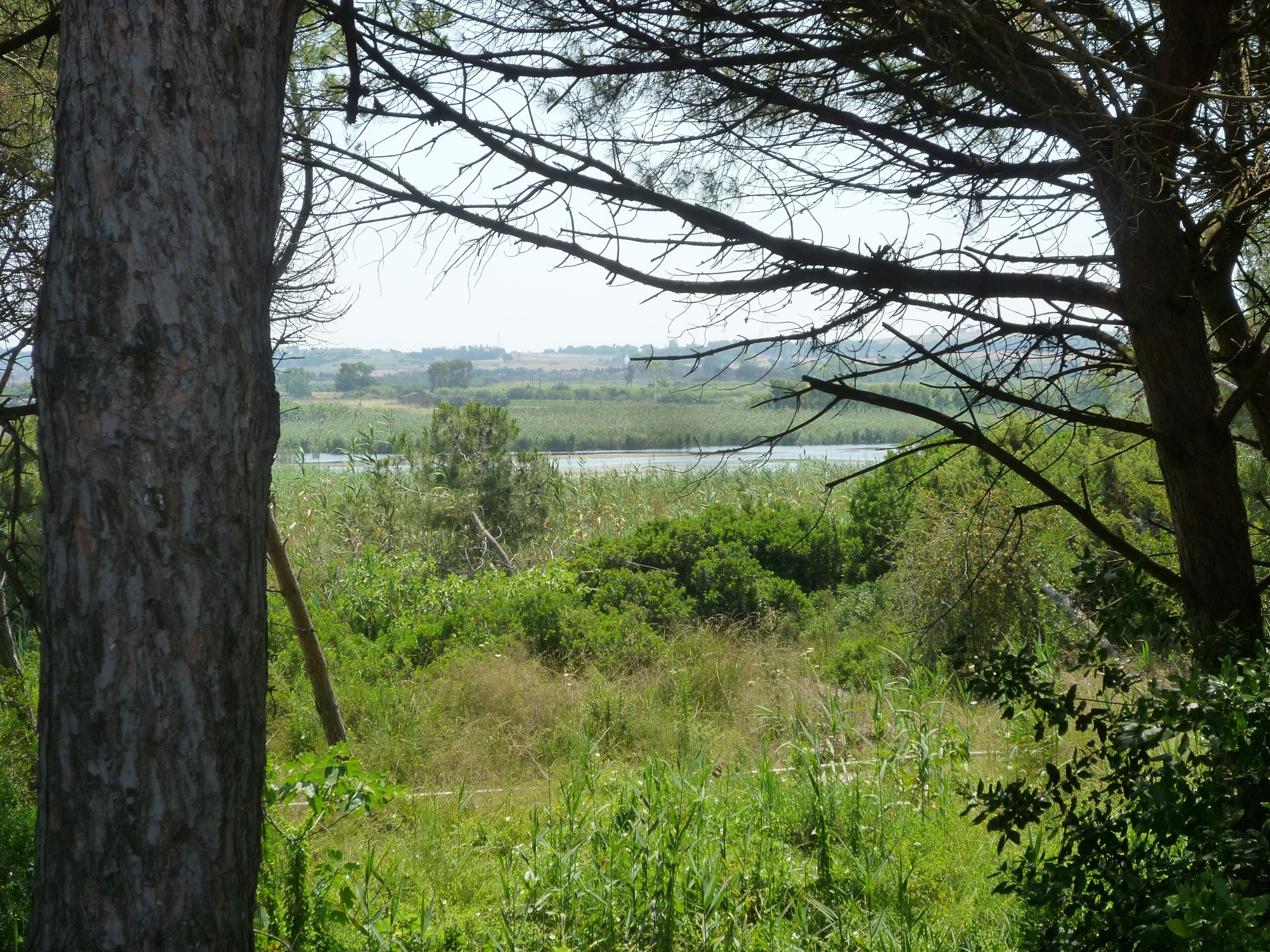 Lo stagno di Platamona