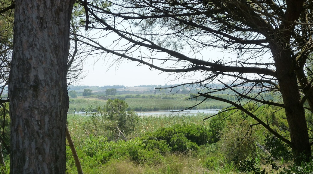 Lo stagno di Platamona