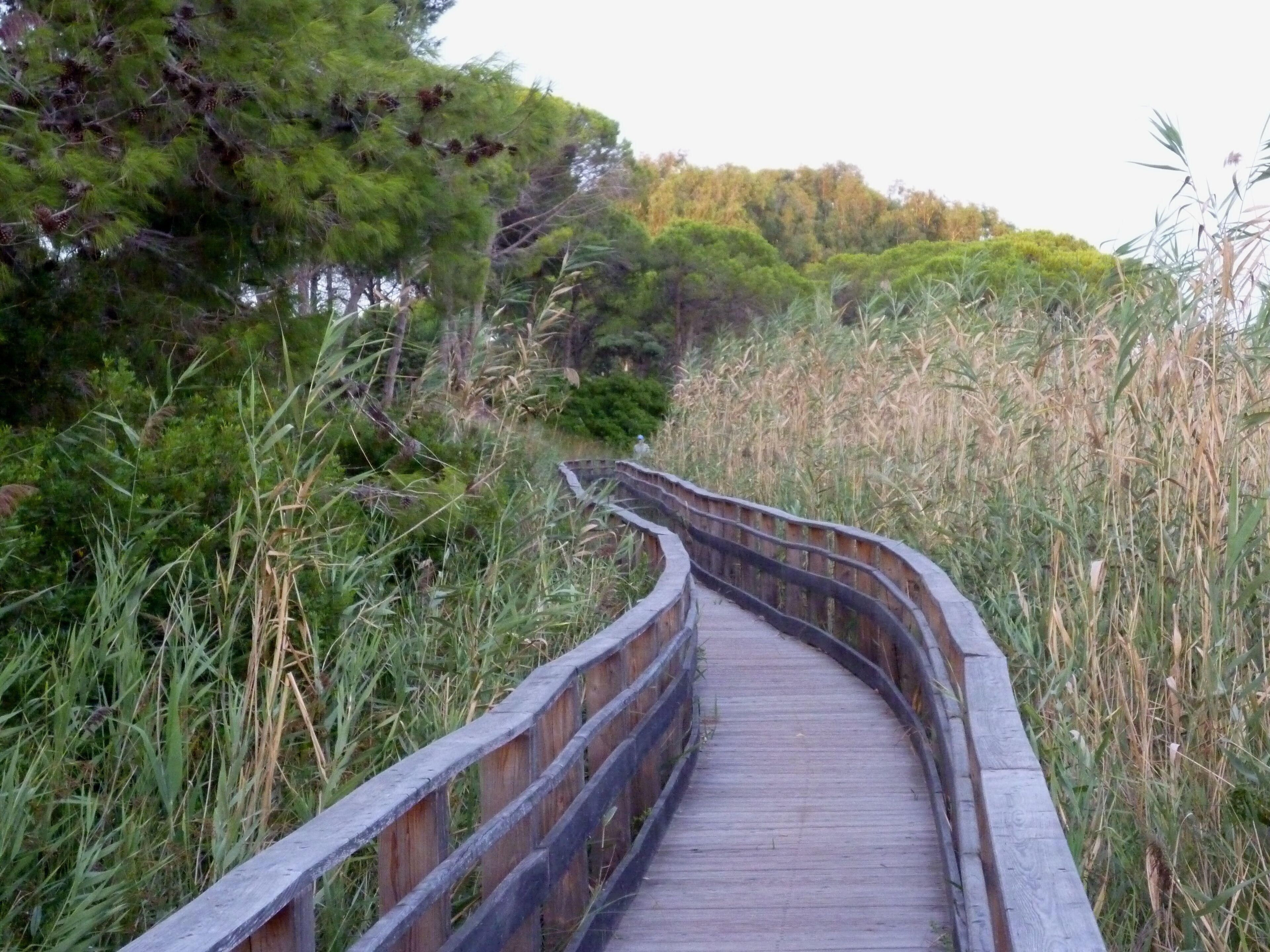 Lo stagno di Platamona
