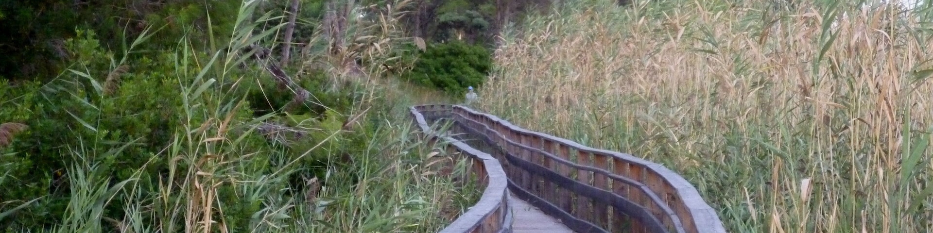 Lo stagno di Platamona