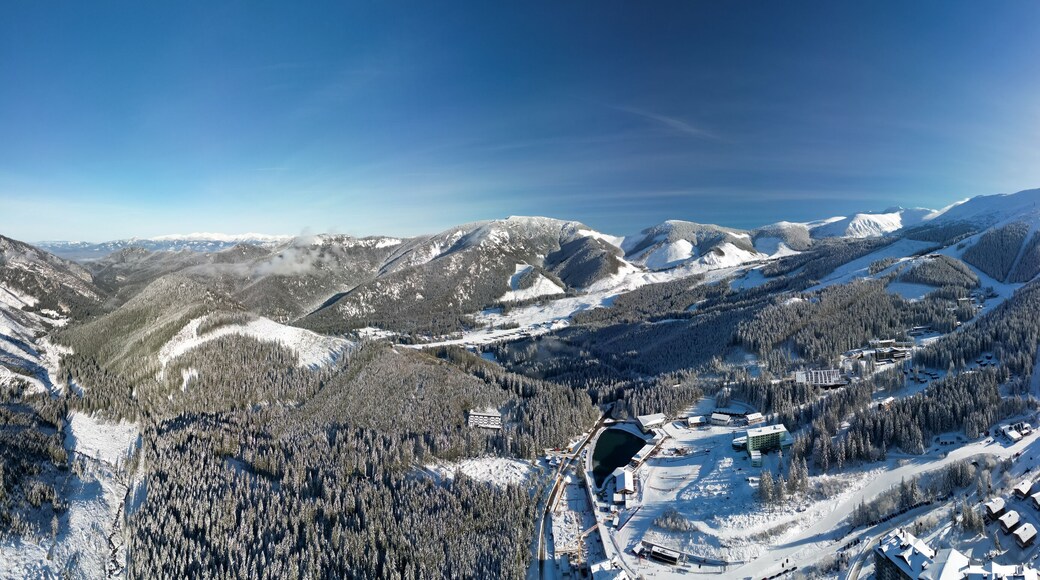 Aerial winter view of Demanovska Dolina village in Low Tatras mountains, Slovakia. Drone panoramic view to countryside landscape, high peaks and tops of frozen fir trees, houses and road of town