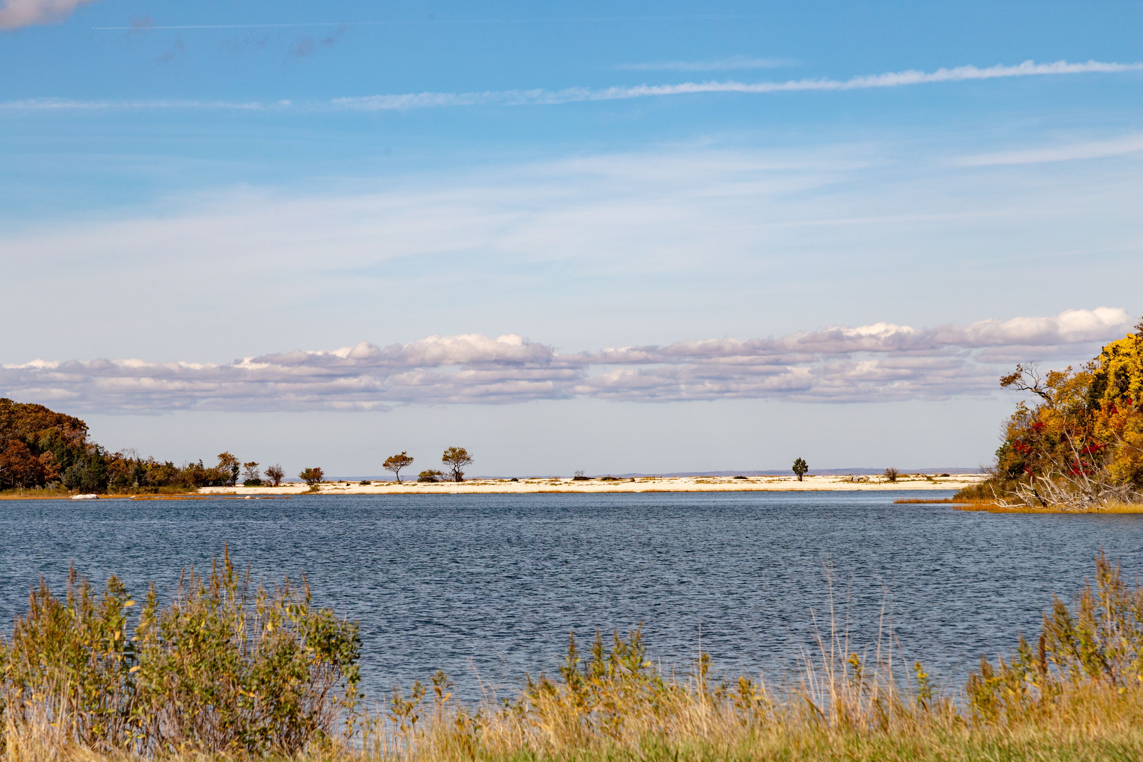 beach of east marion seen from water side