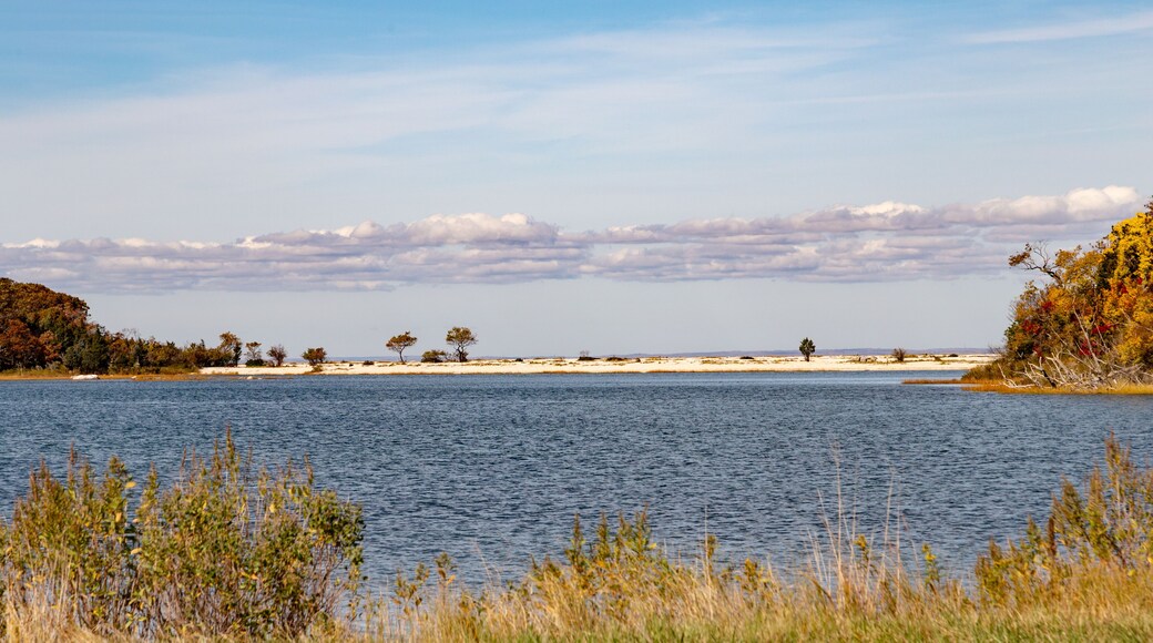 beach of east marion seen from water side