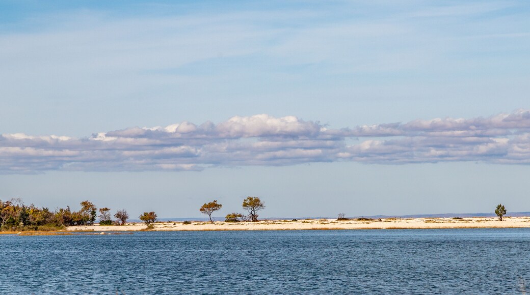 beach of east marion seen from water side
