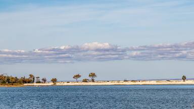 beach of east marion seen from water side