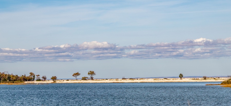 A coastal landscape with a sandy beach, calm water, and scattered trees.