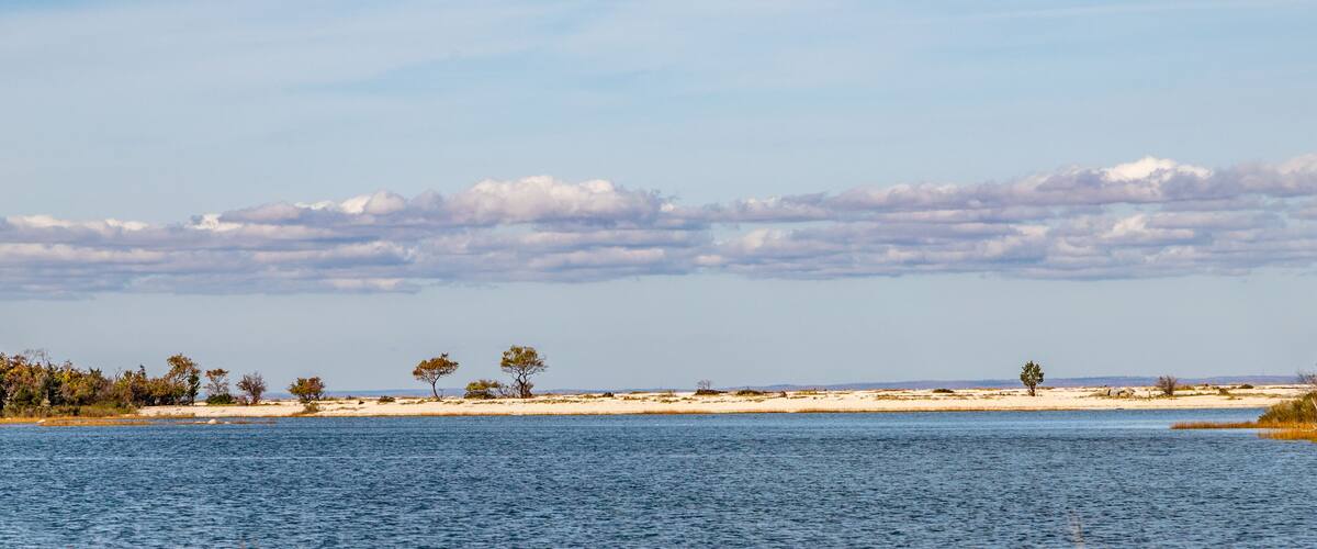 A coastal landscape with a sandy beach, calm water, and scattered trees.