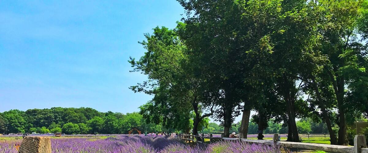 Always a favorite stop when visiting the Hampton's The smell is amazing 😍